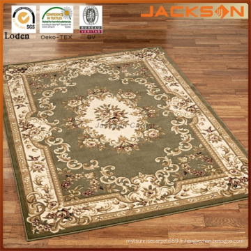 Design populaire Hot Sale Area Tapis